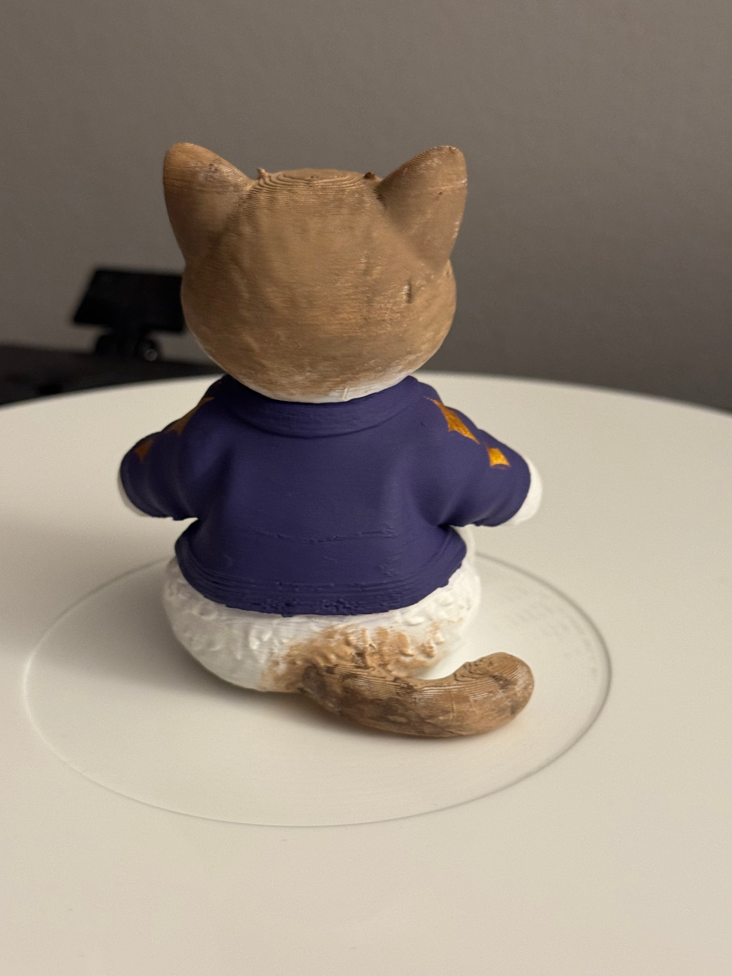 Custom Cozy Cat Vinyl Record Topper