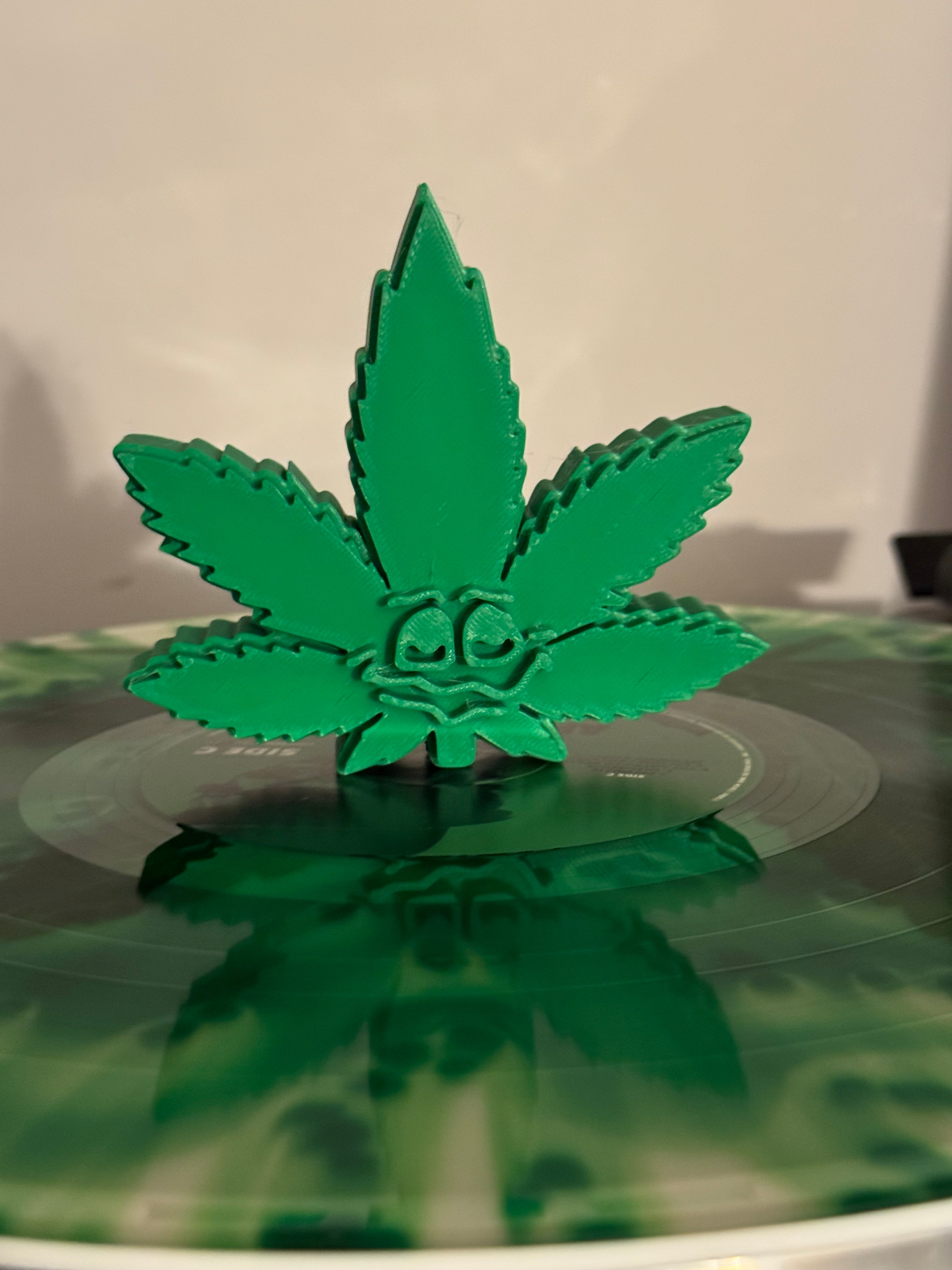 Leaf Face Vinyl Record Topper
