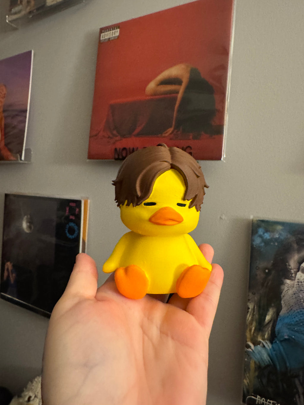 Numbered Duck vinyl record topper