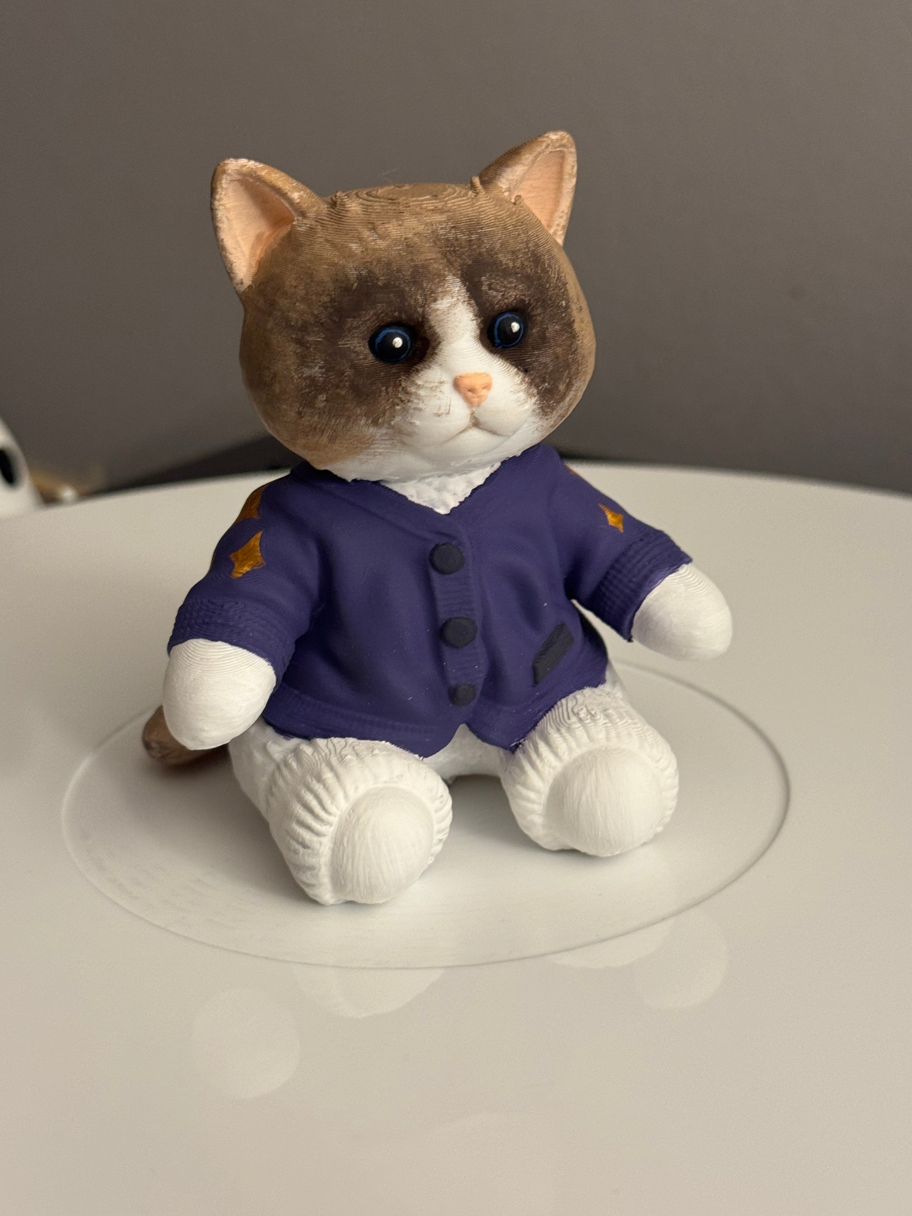 Custom Cozy Cat Vinyl Record Topper