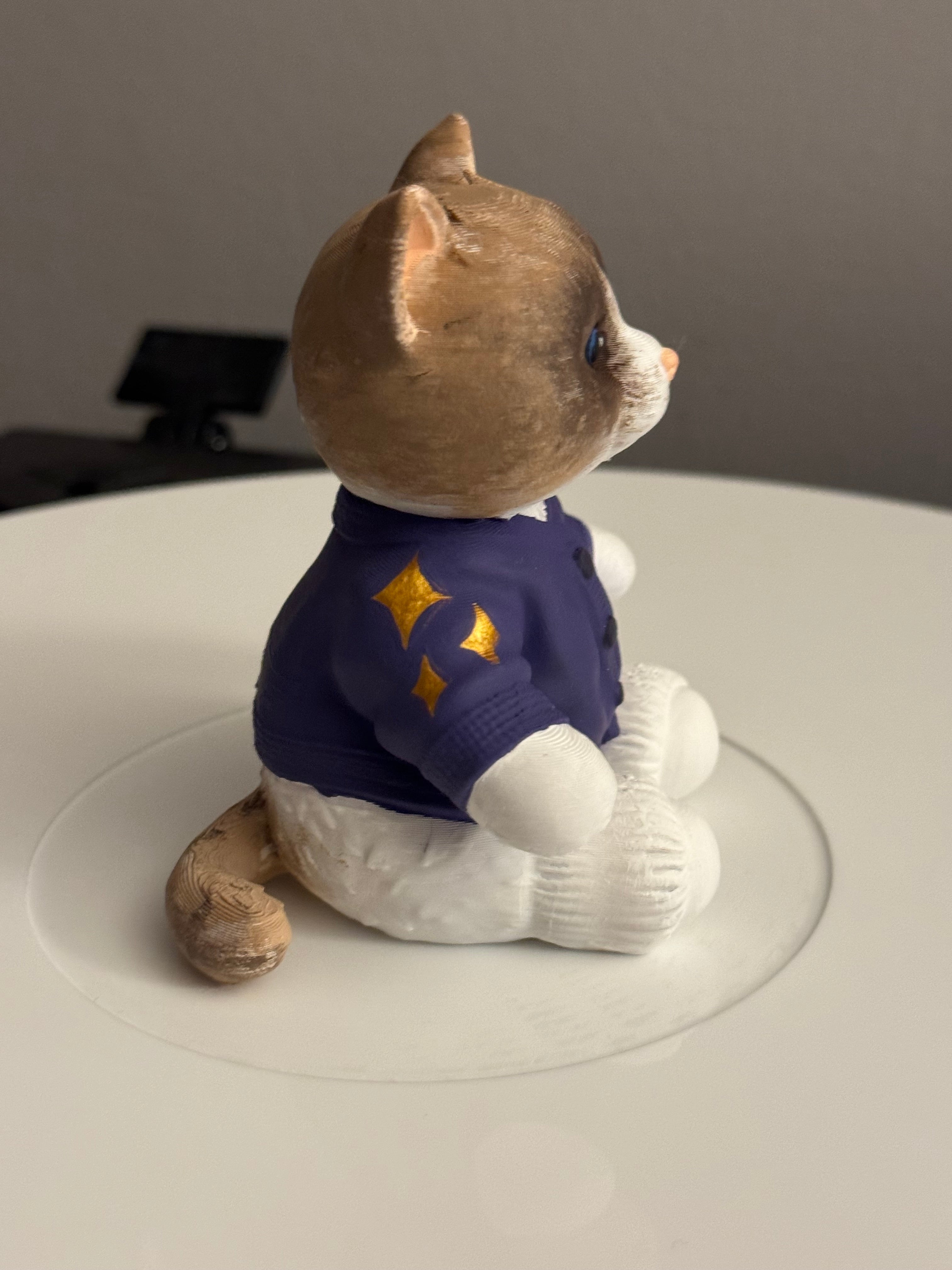 Custom Cozy Cat Vinyl Record Topper