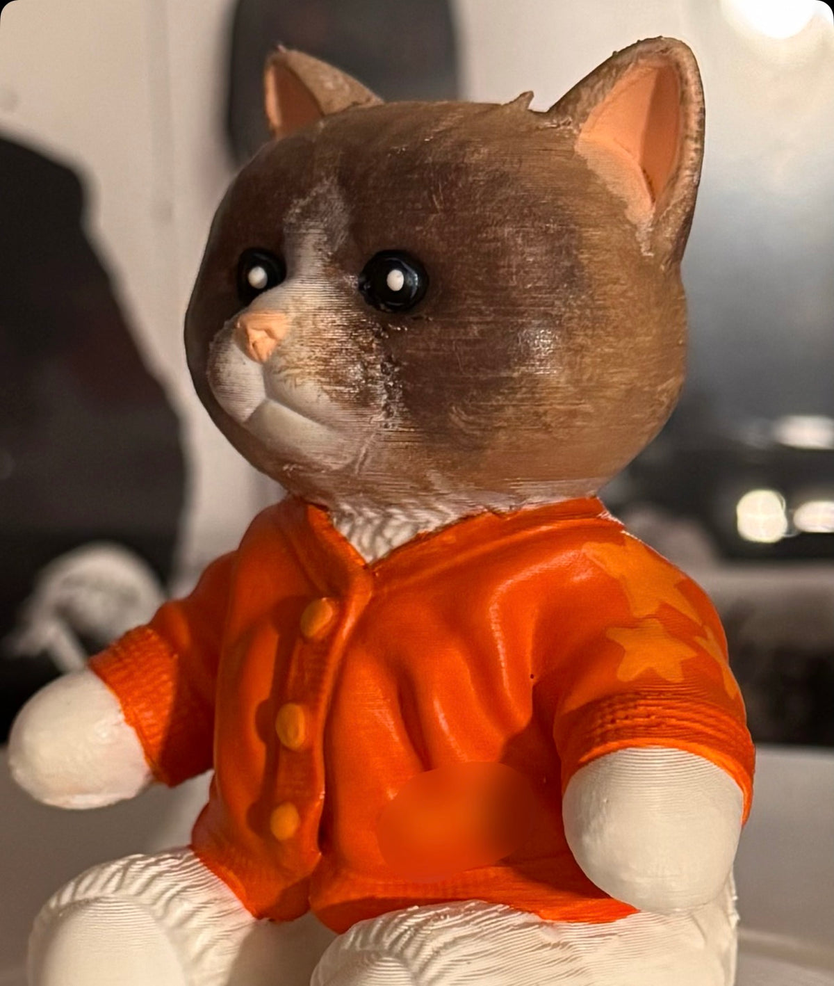 Custom Cozy Cat Vinyl Record Topper