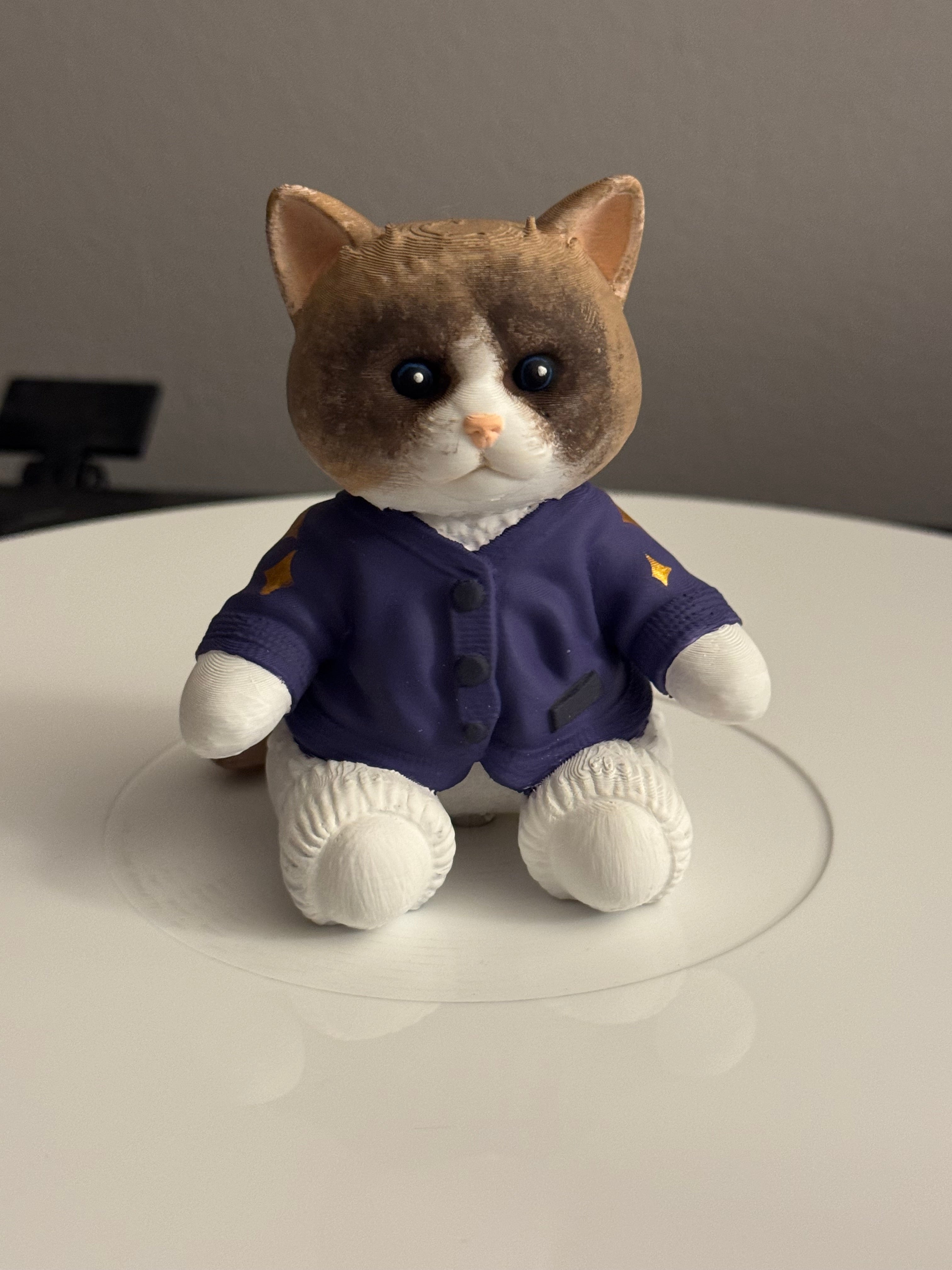 Custom Cozy Cat Vinyl Record Topper
