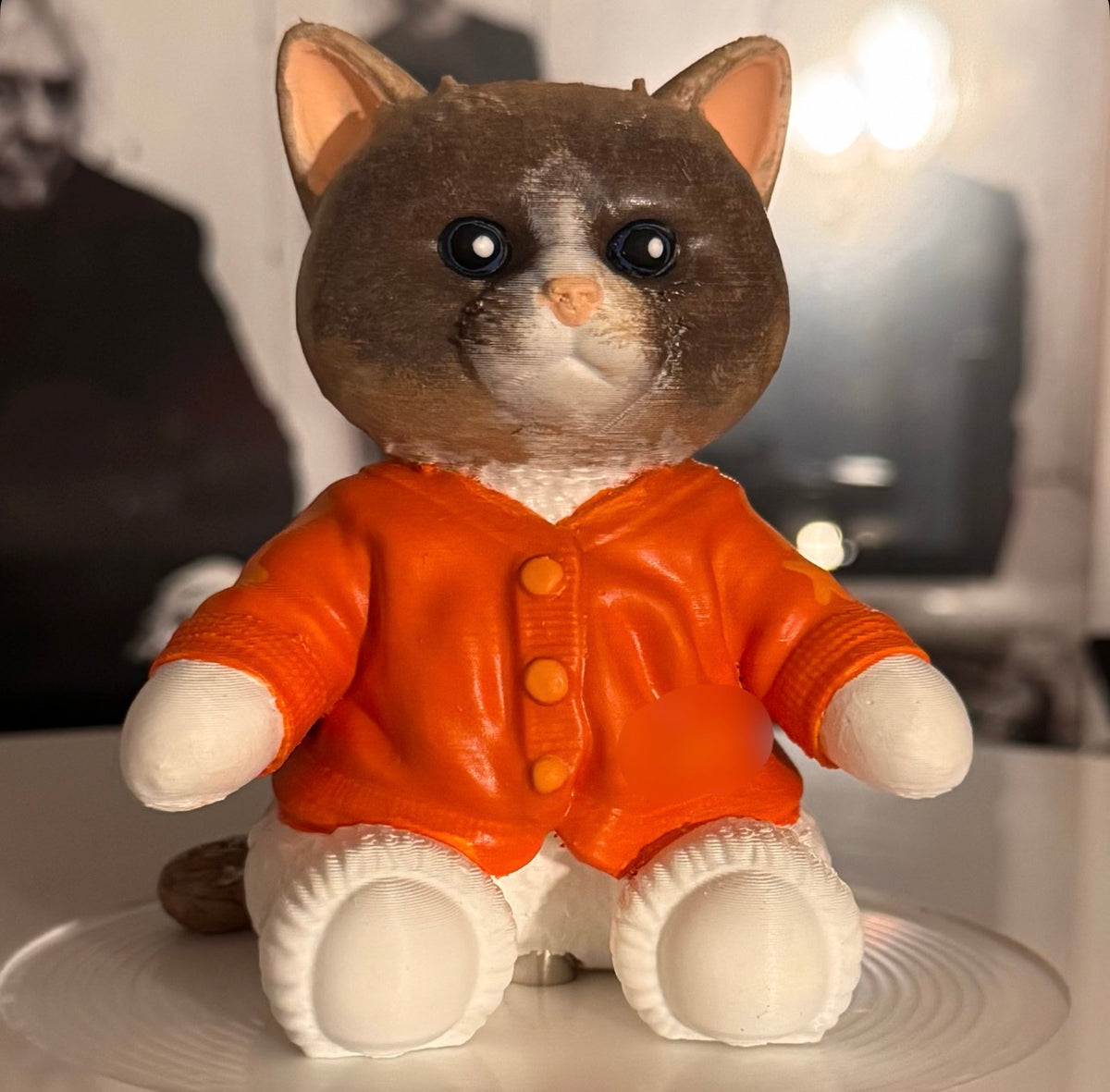 Custom Cozy Cat Vinyl Record Topper