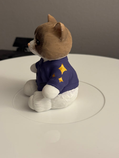 Custom Cozy Cat Vinyl Record Topper