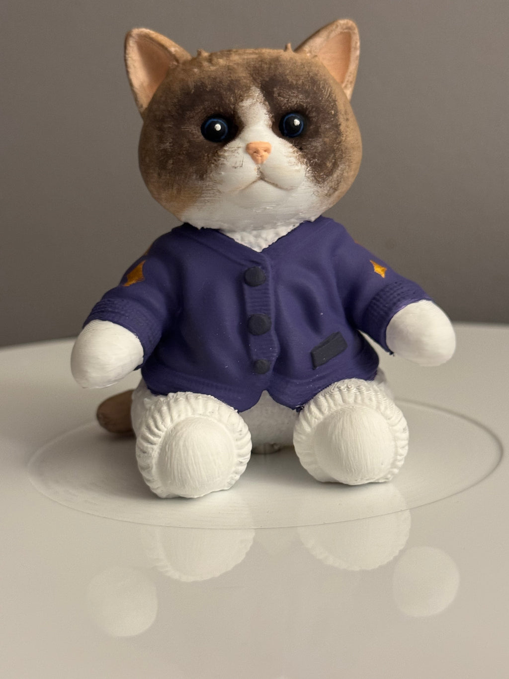 Custom Cozy Cat Vinyl Record Topper