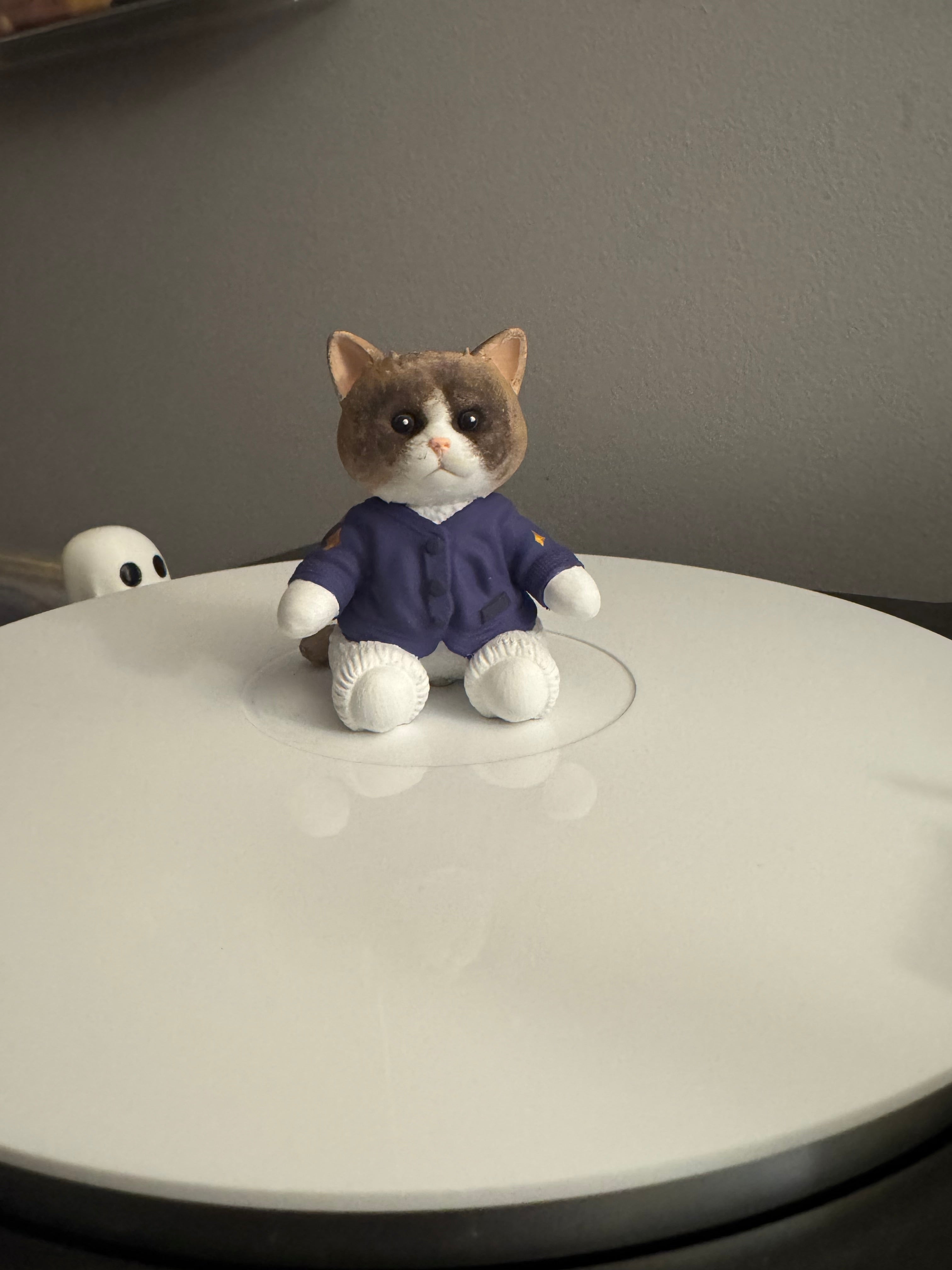 Custom Cozy Cat Vinyl Record Topper