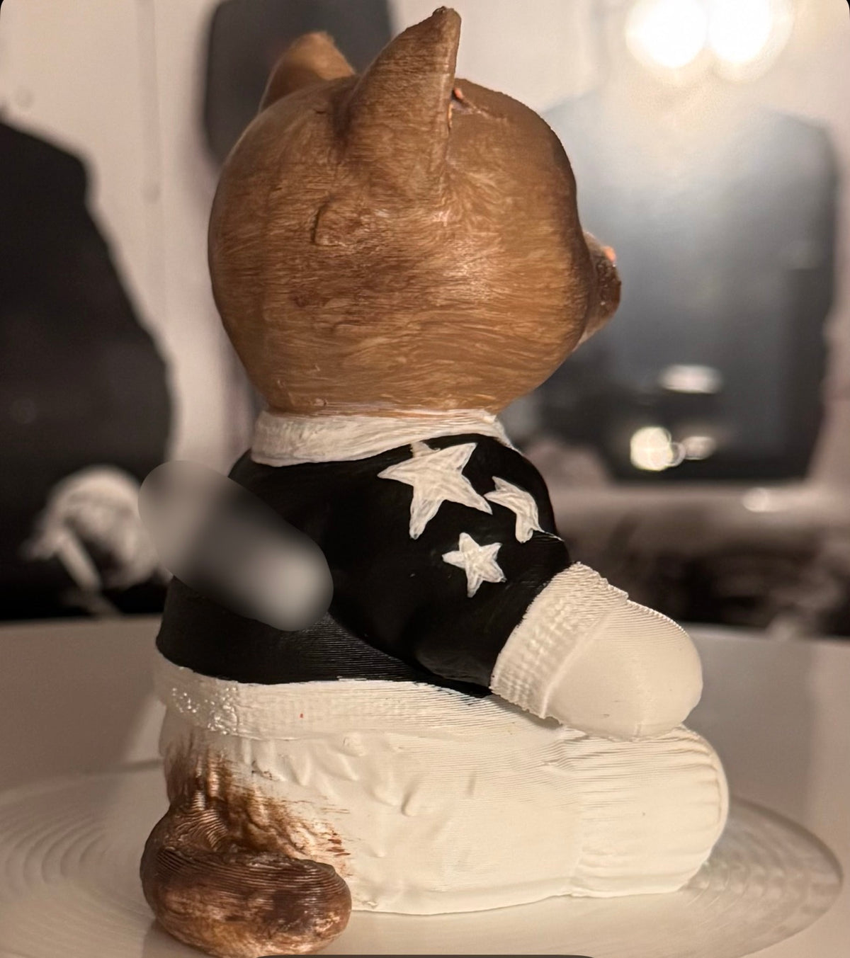 Custom Cozy Cat Vinyl Record Topper