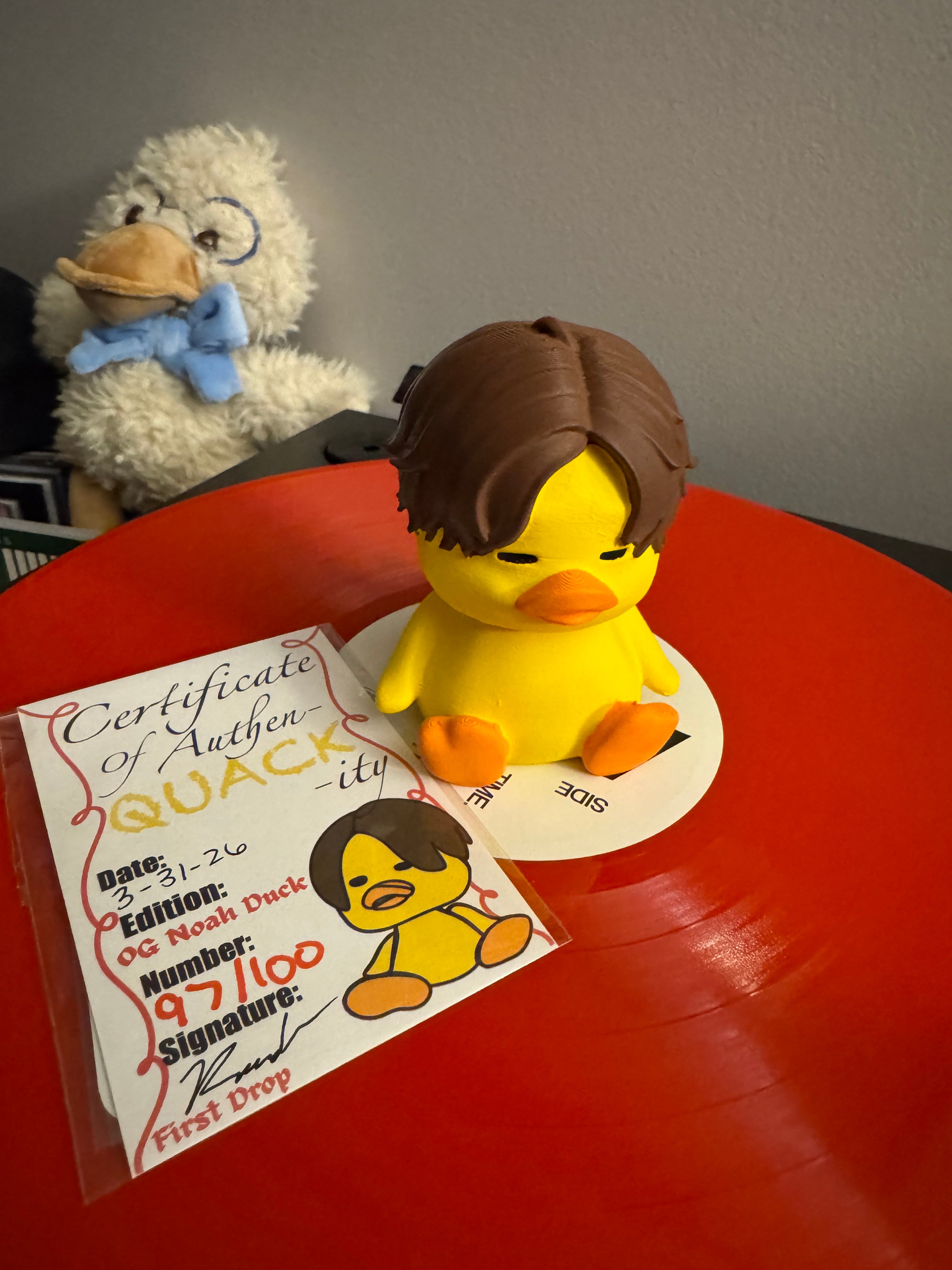 Numbered Duck vinyl record topper