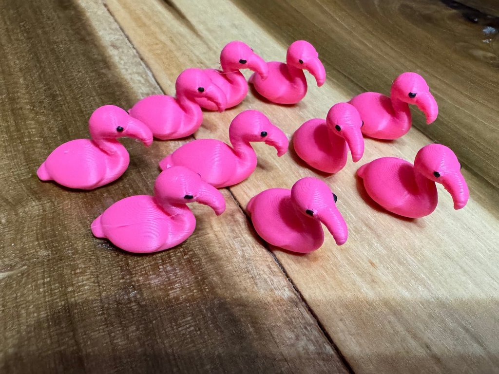 Micro Flamingo’s🦩