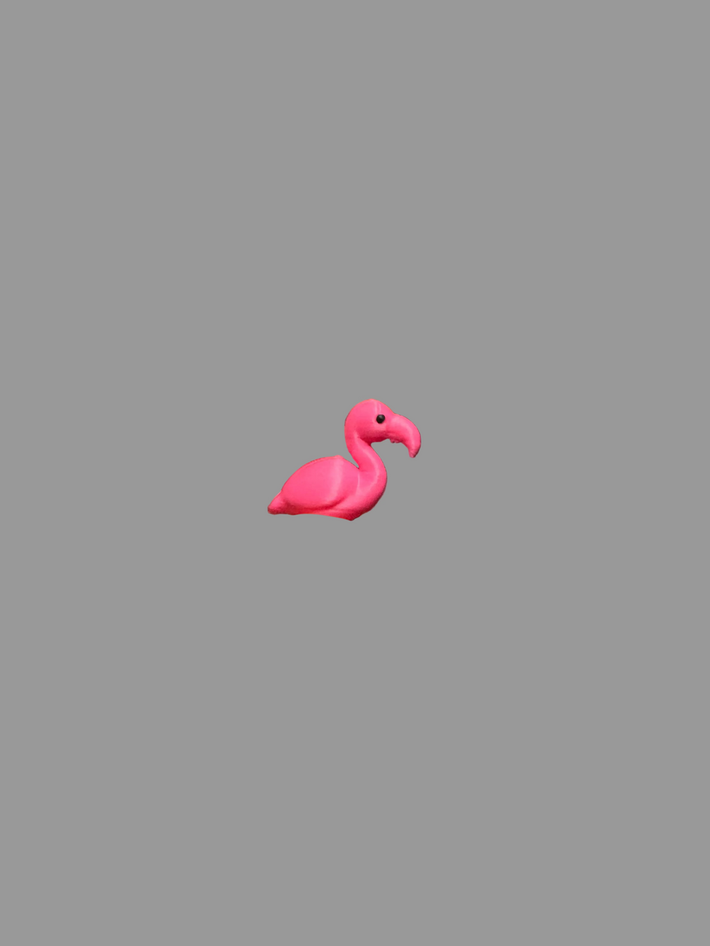 Micro Flamingo’s🦩