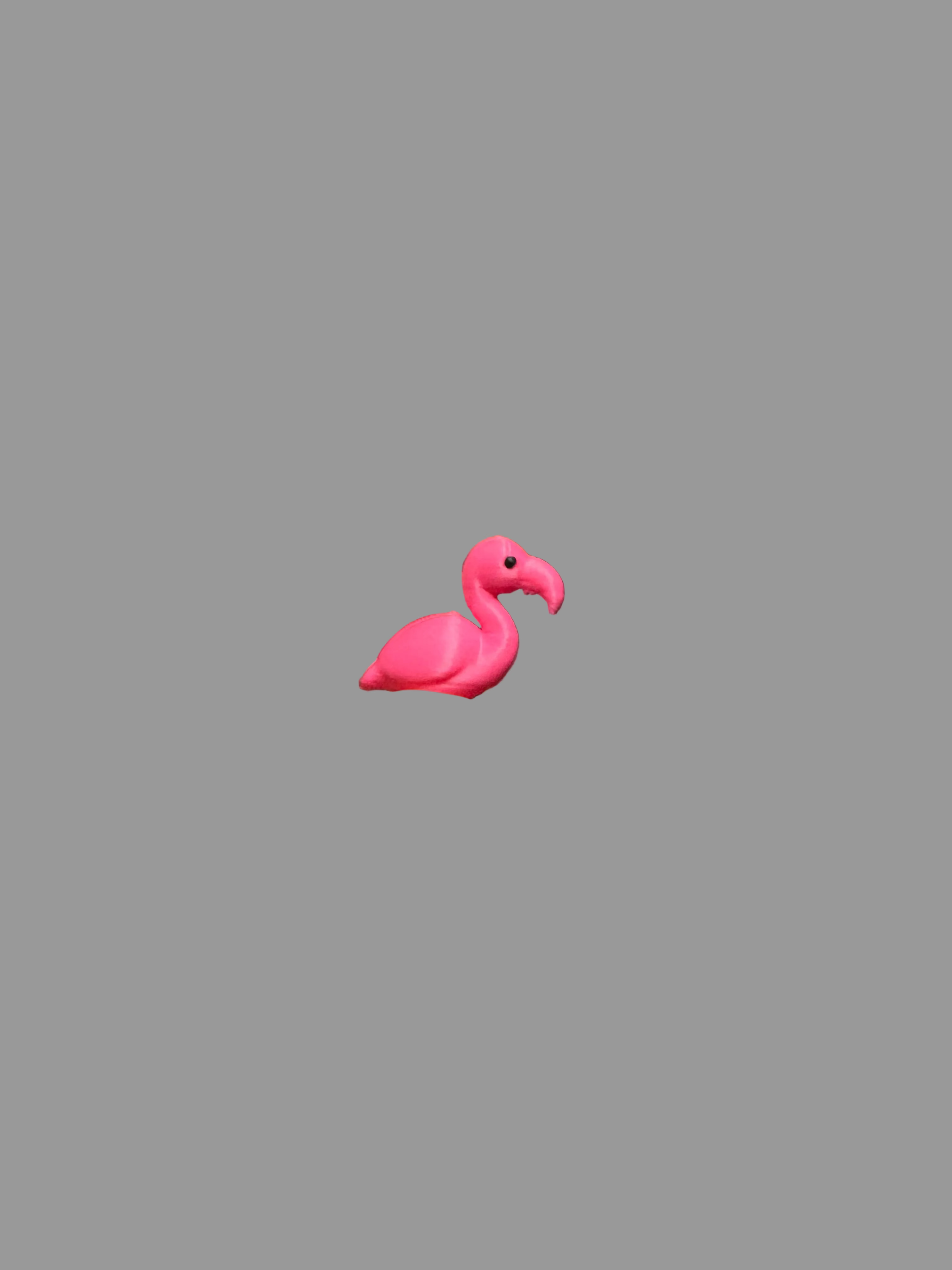 Micro Flamingo’s🦩