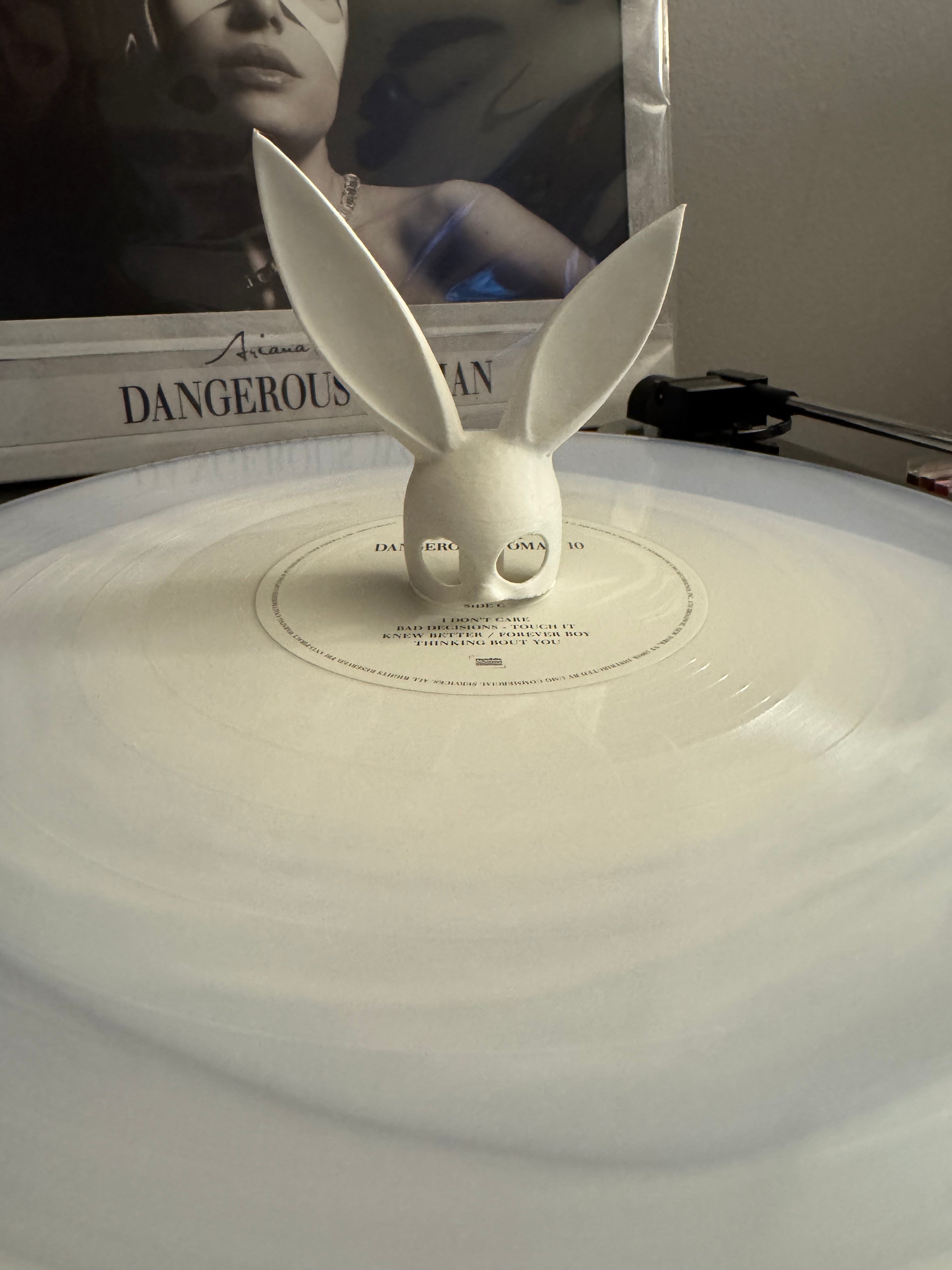 Bunny Ears Vinyl Record Topper