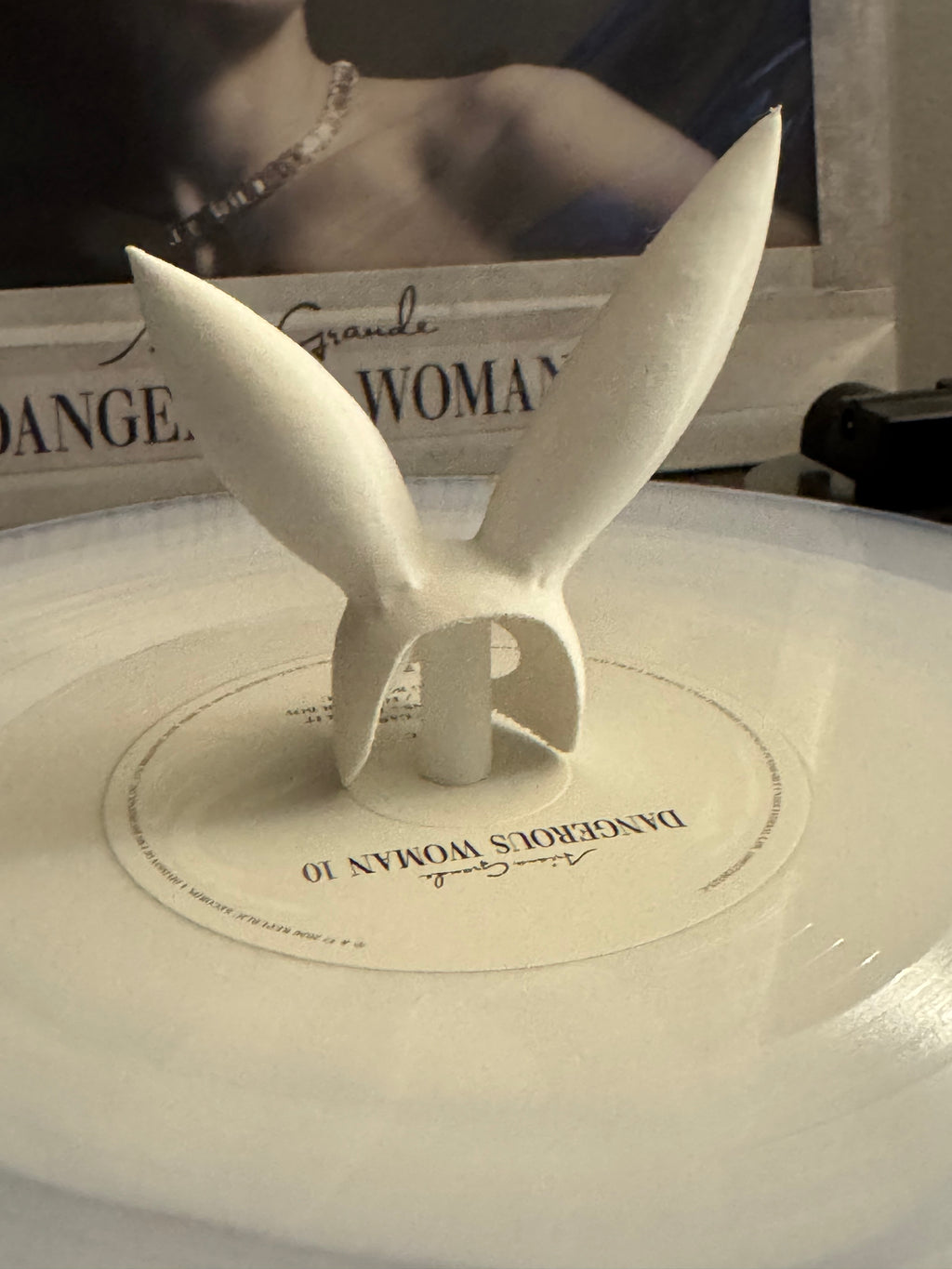 Bunny Ears Vinyl Record Topper