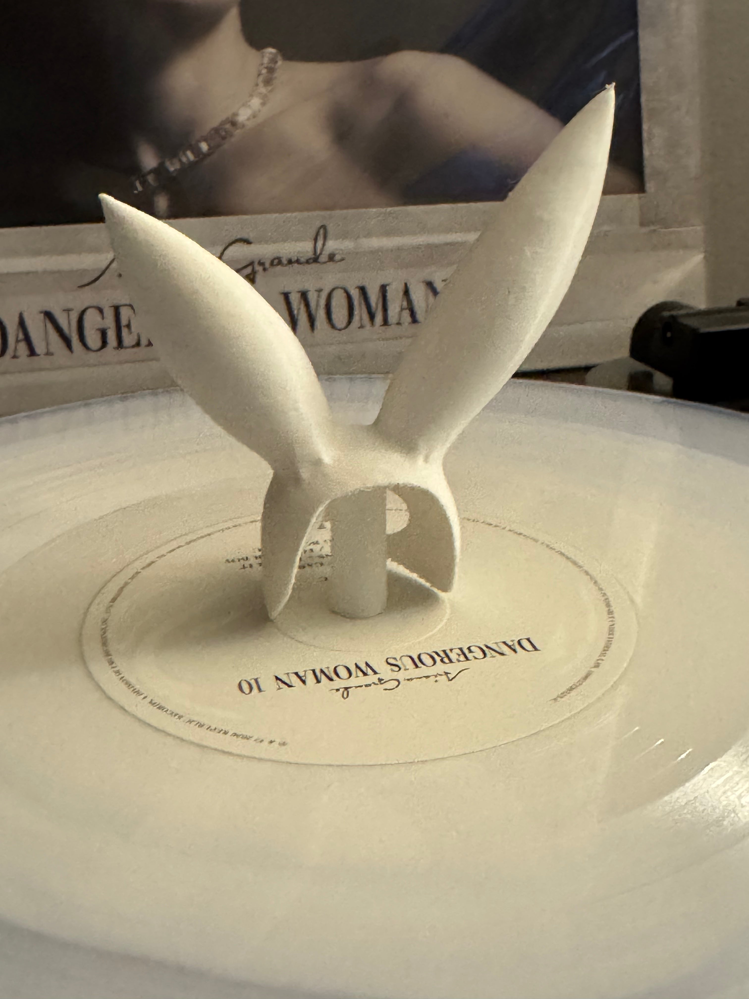 Bunny Ears Vinyl Record Topper