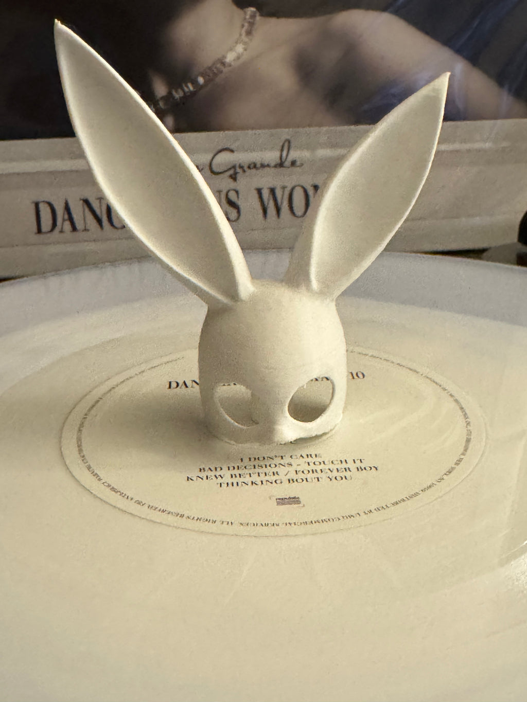 Bunny Ears Vinyl Record Topper
