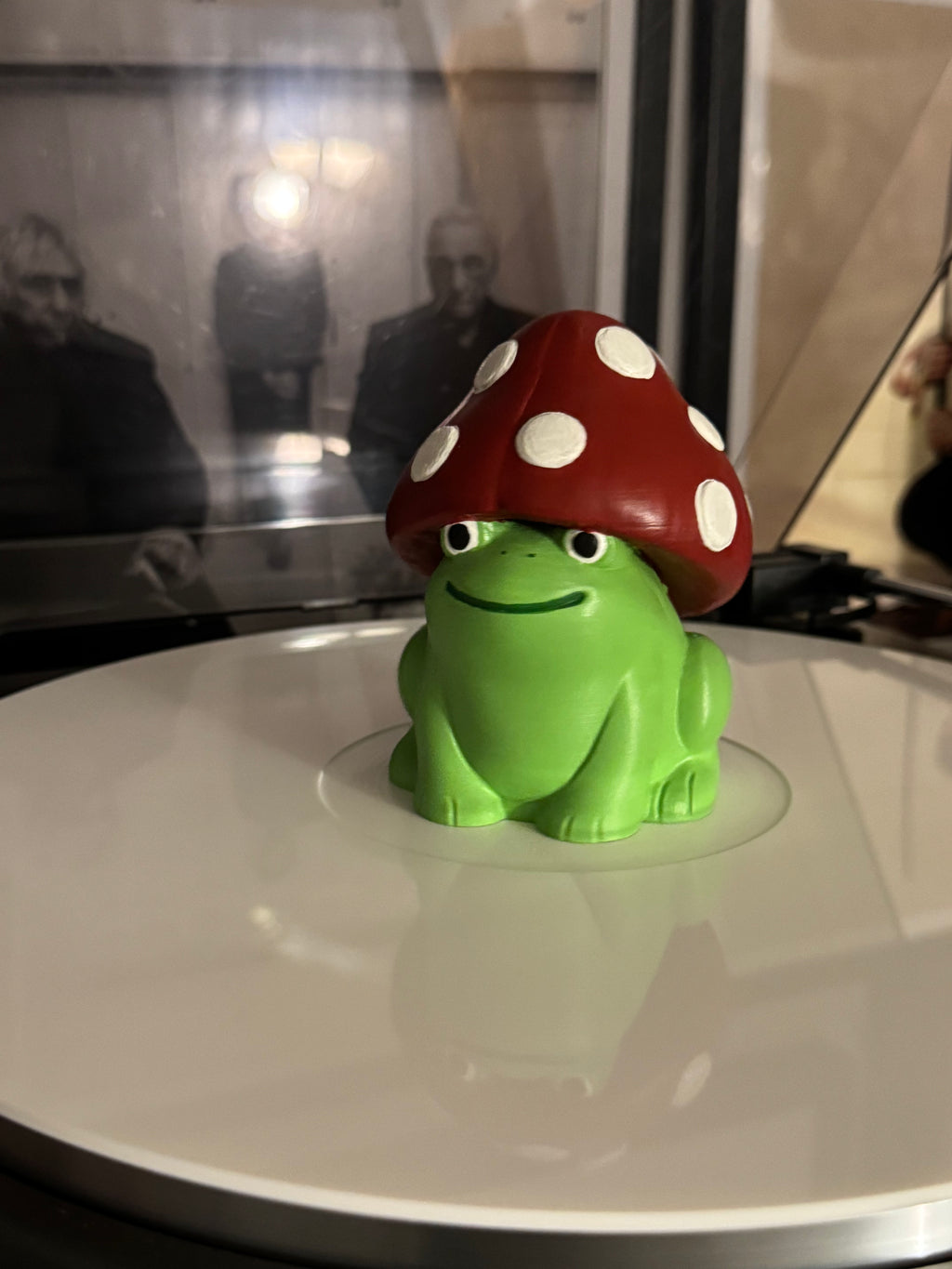 Mushroom Froggy Record Topper